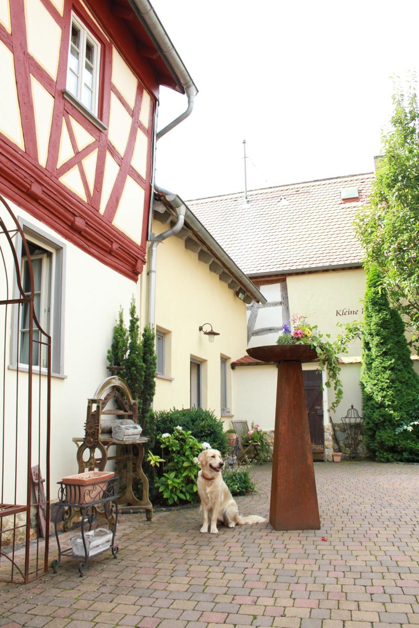 Kleine Residenz Am Schloss ホーホハイム・アム・マイン エクステリア 写真